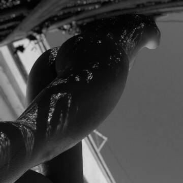 Public Photo of ShinyGirl