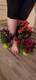 Private Photo of MissFeet66