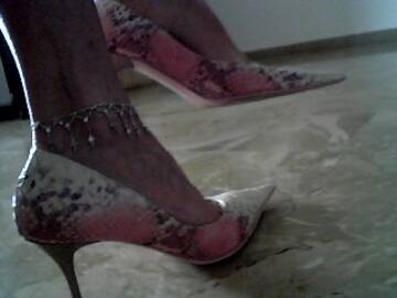 Public Photo of cucciolacam